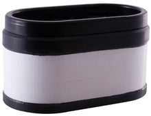 Load image into Gallery viewer, Air Filter Premium Guard PA5696